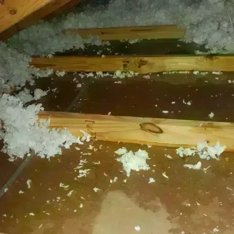 Attic Water Damage in Ronkonkoma, NY